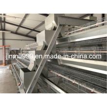 Poultry Battery Cages for Nigeria